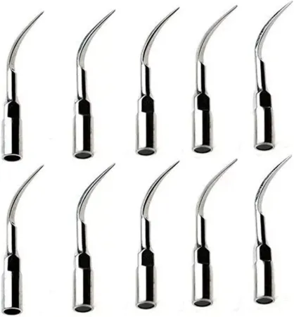 10x P3 Cleaning Teeth Tip