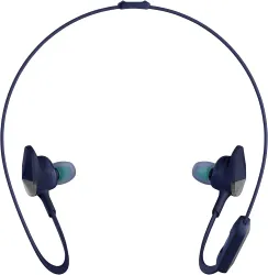 Fitbit Flyer